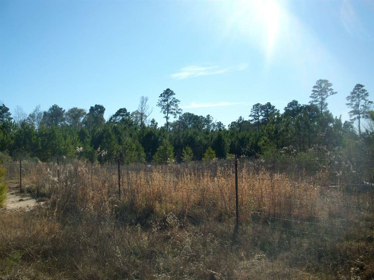 60.64 acres in Panola County, Texas