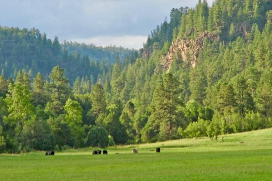 3,550 acres in Mora County, New Mexico