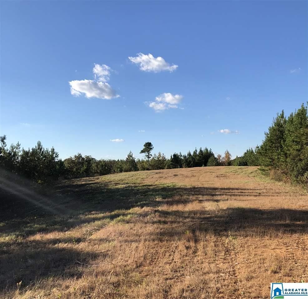 453 acres in Perry County, Alabama