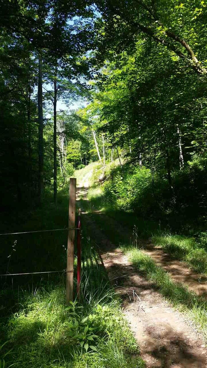 54 acres in Cabell County, West Virginia