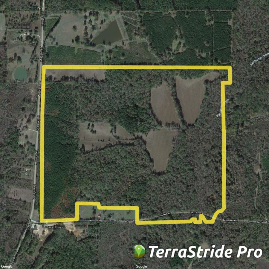 Mt. Pilgrim Rd., Camden, MS 39045 MLS 326938