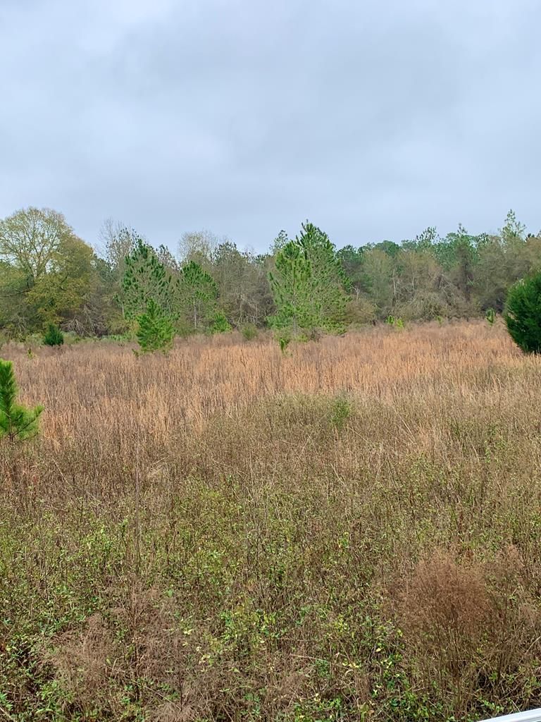 27.81 acres in Jeff Davis County,