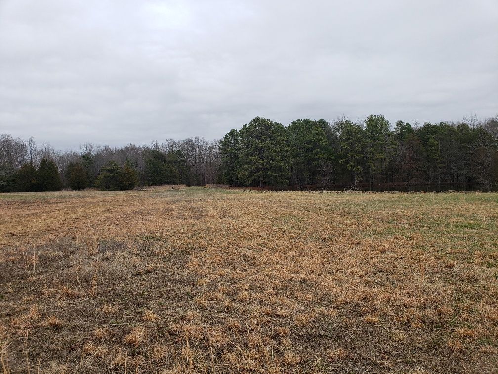 10 acres in Amelia County, Virginia