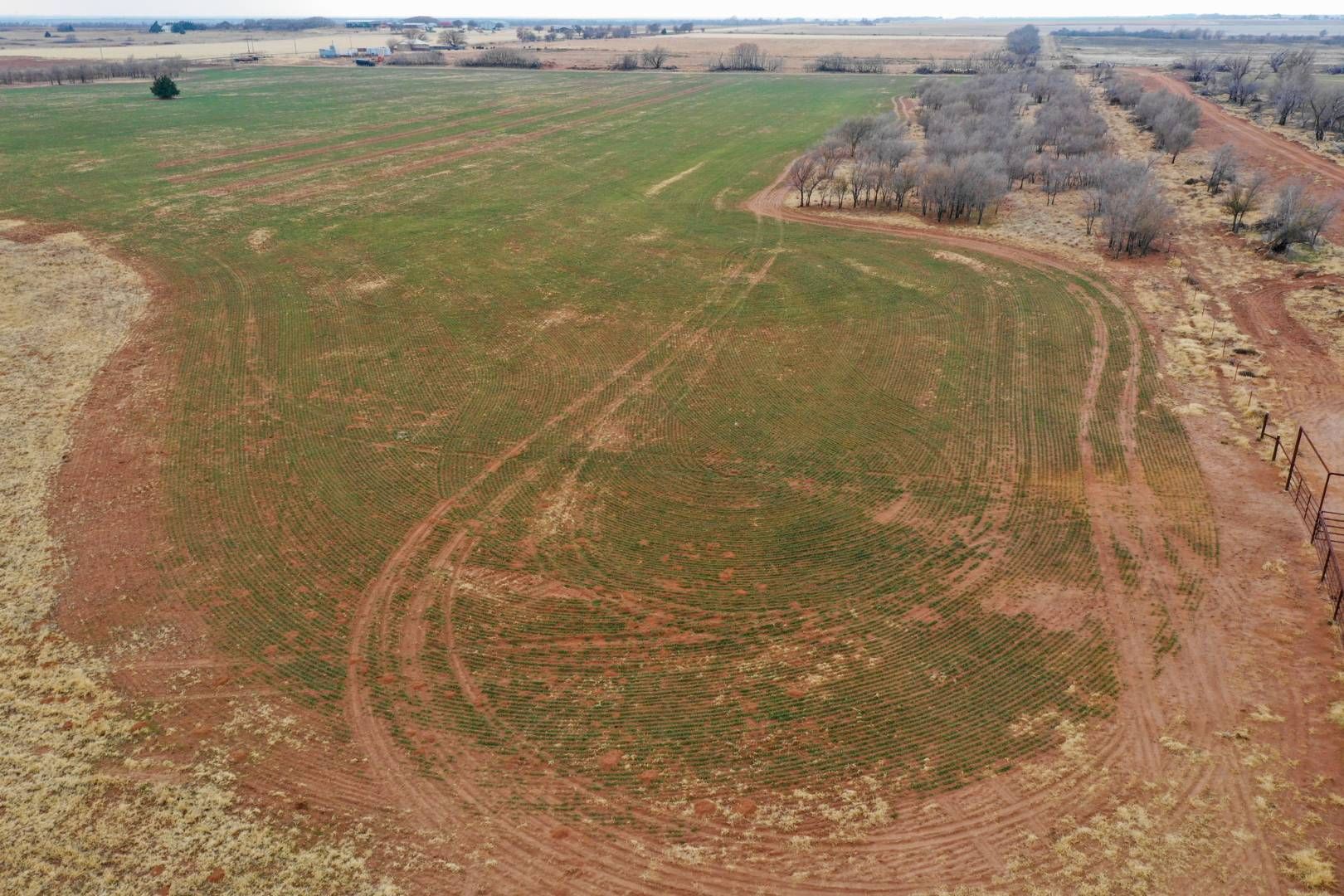 178 acres in Hardeman County, Texas