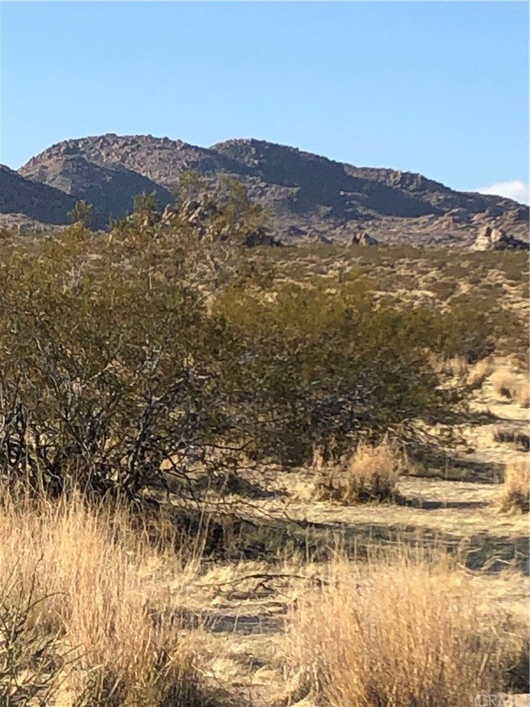 5 acres in San Bernardino County, California