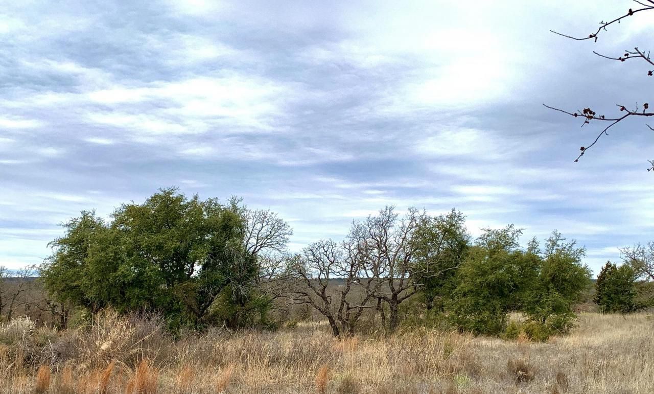36 acres in Callahan County, Texas