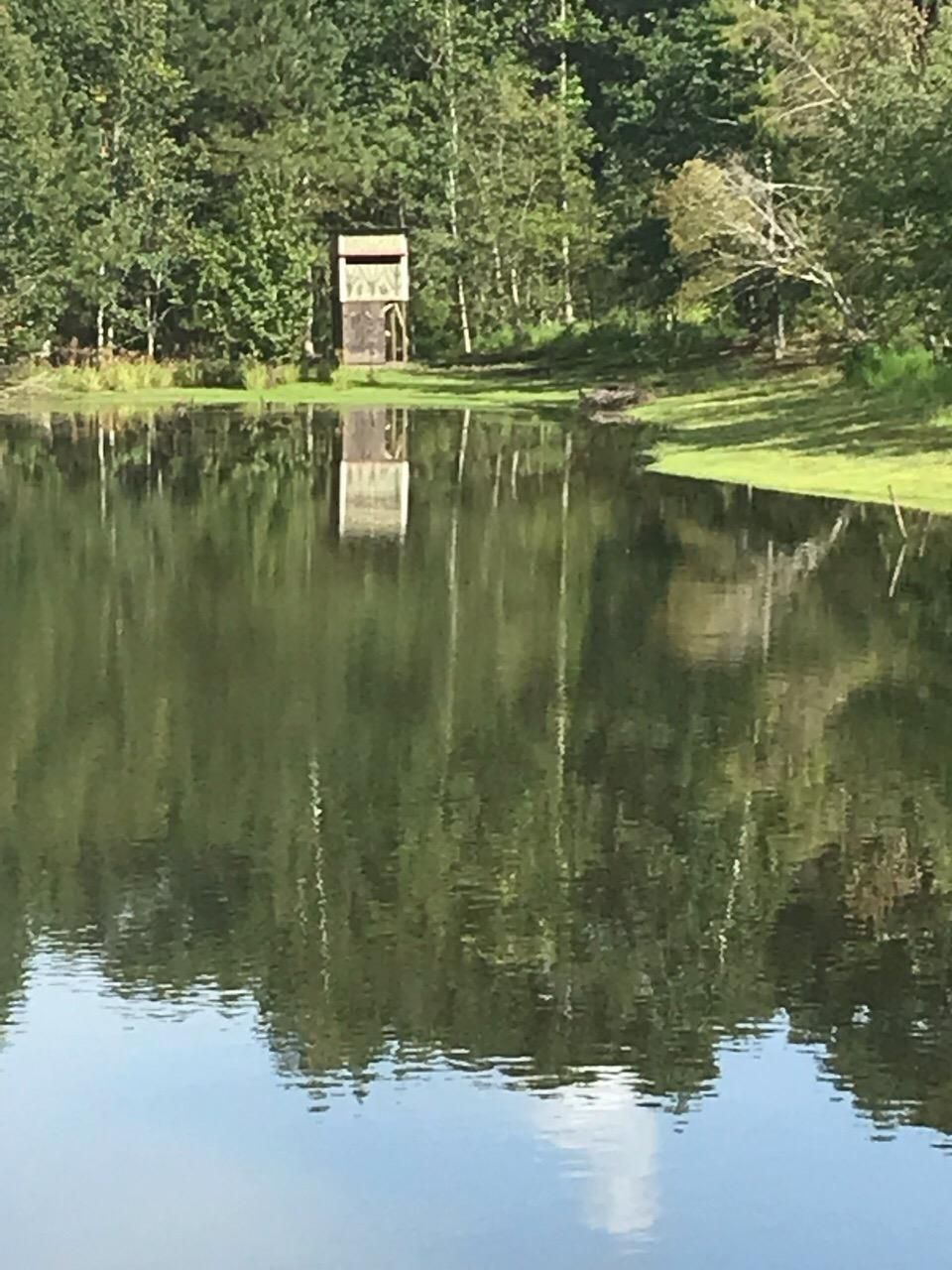 69 acres in Butler County, Alabama