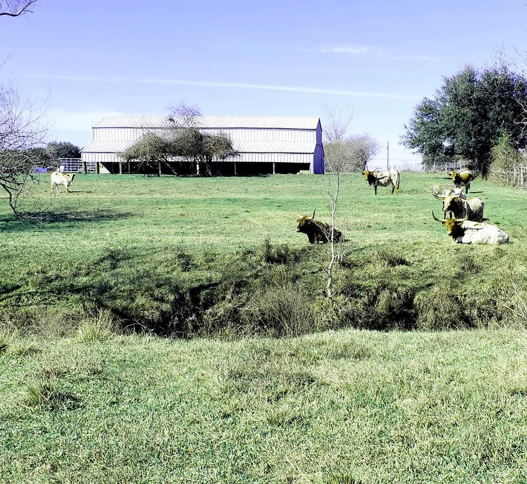 105 acres in Calhoun County, Texas