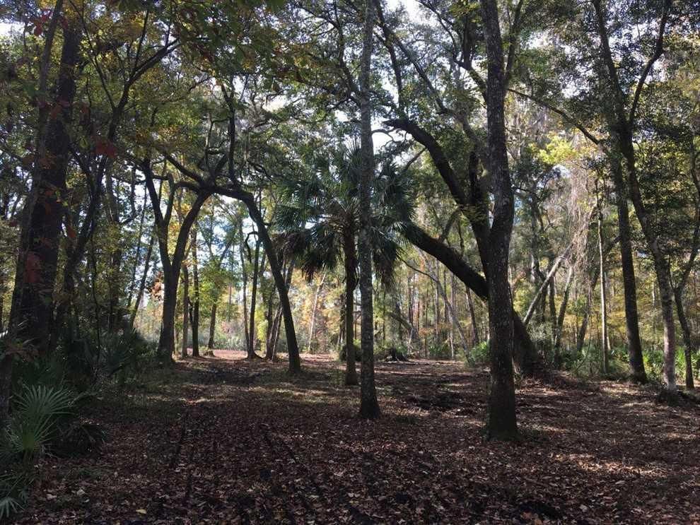 28.95 acres in Camden County,