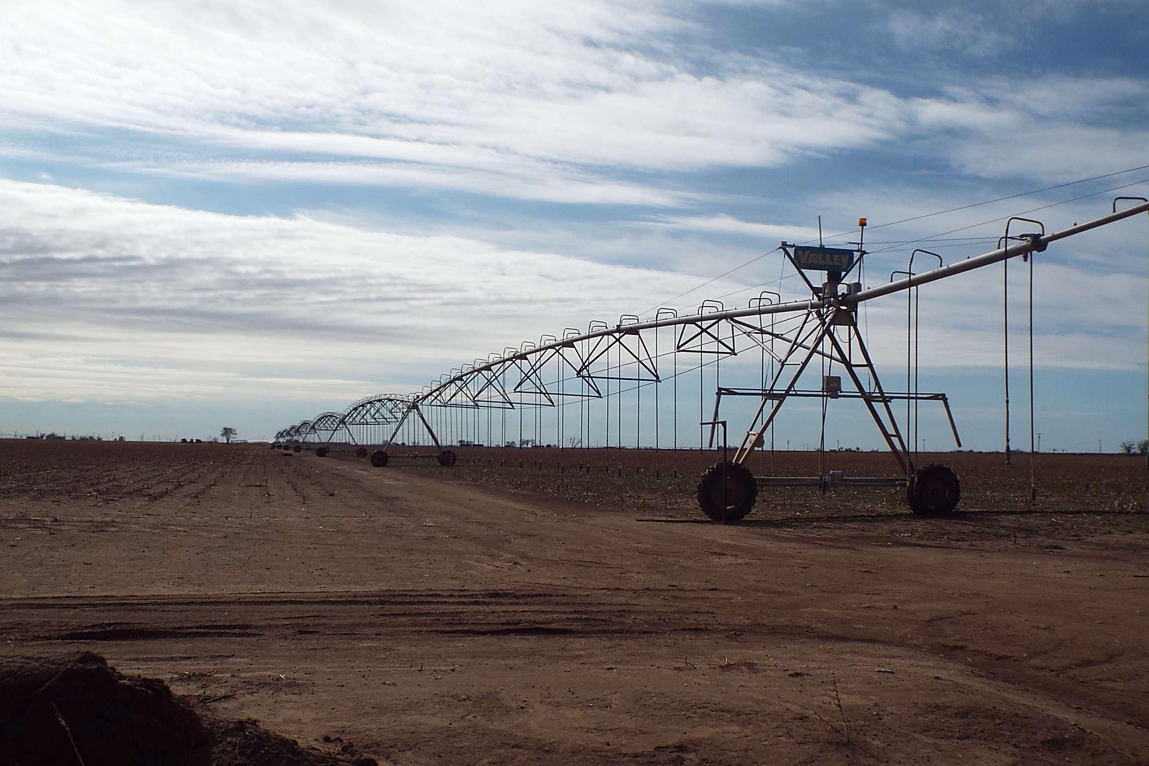 160 acres in Hale County, Texas