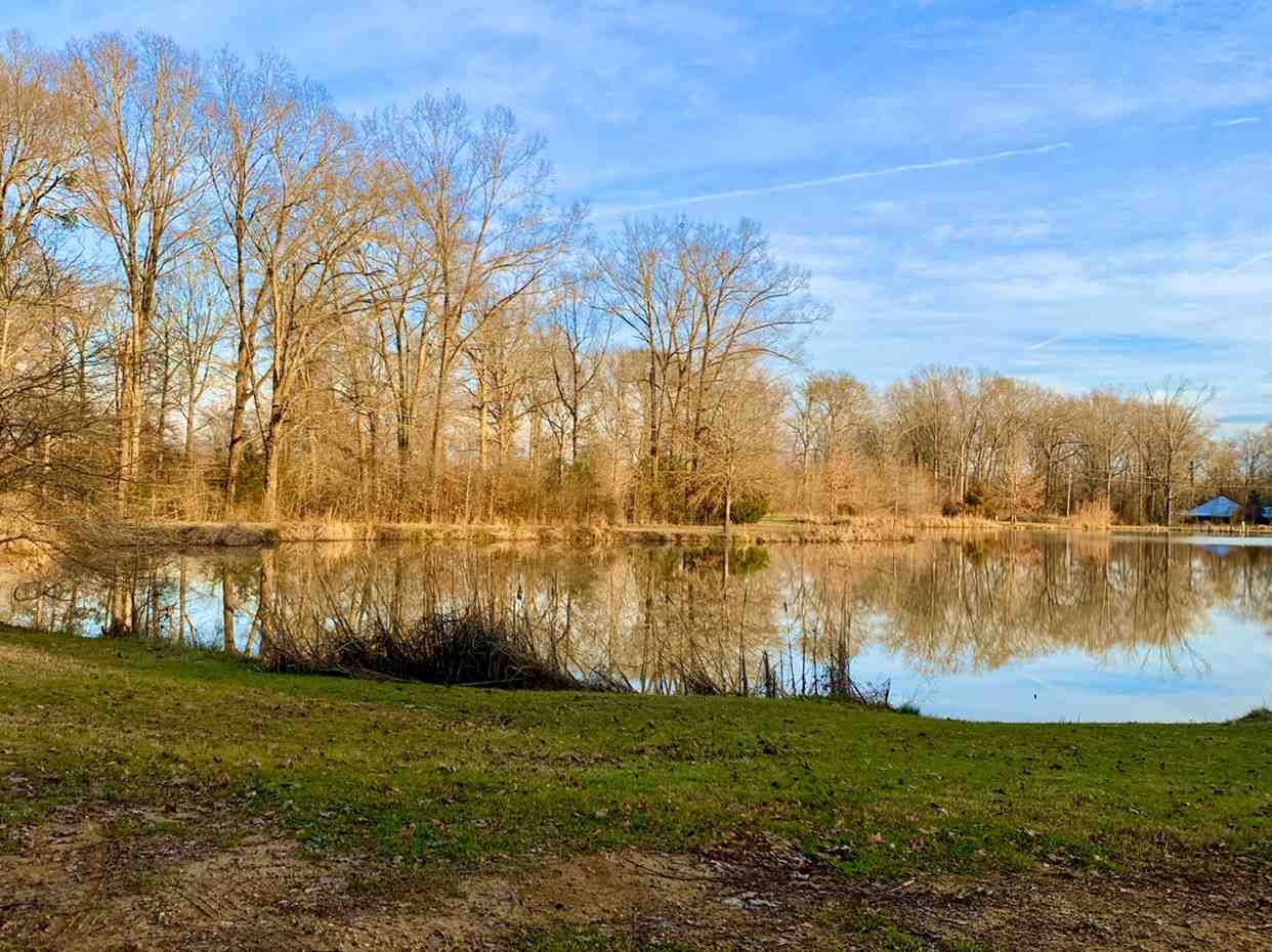 44 acres in Rankin County, Mississippi