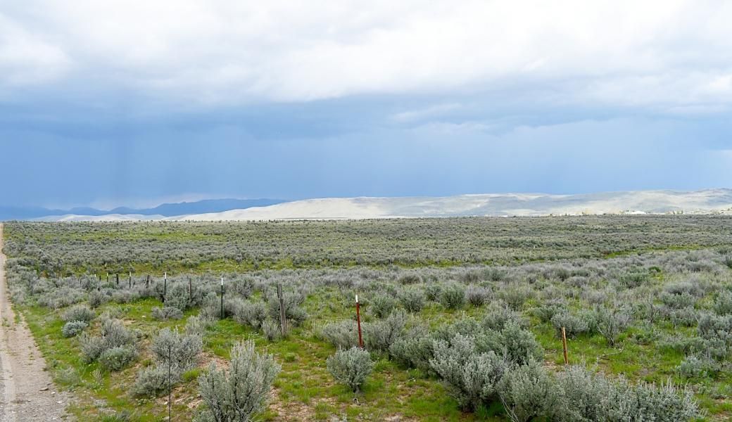 355 acres in Camas County, Idaho