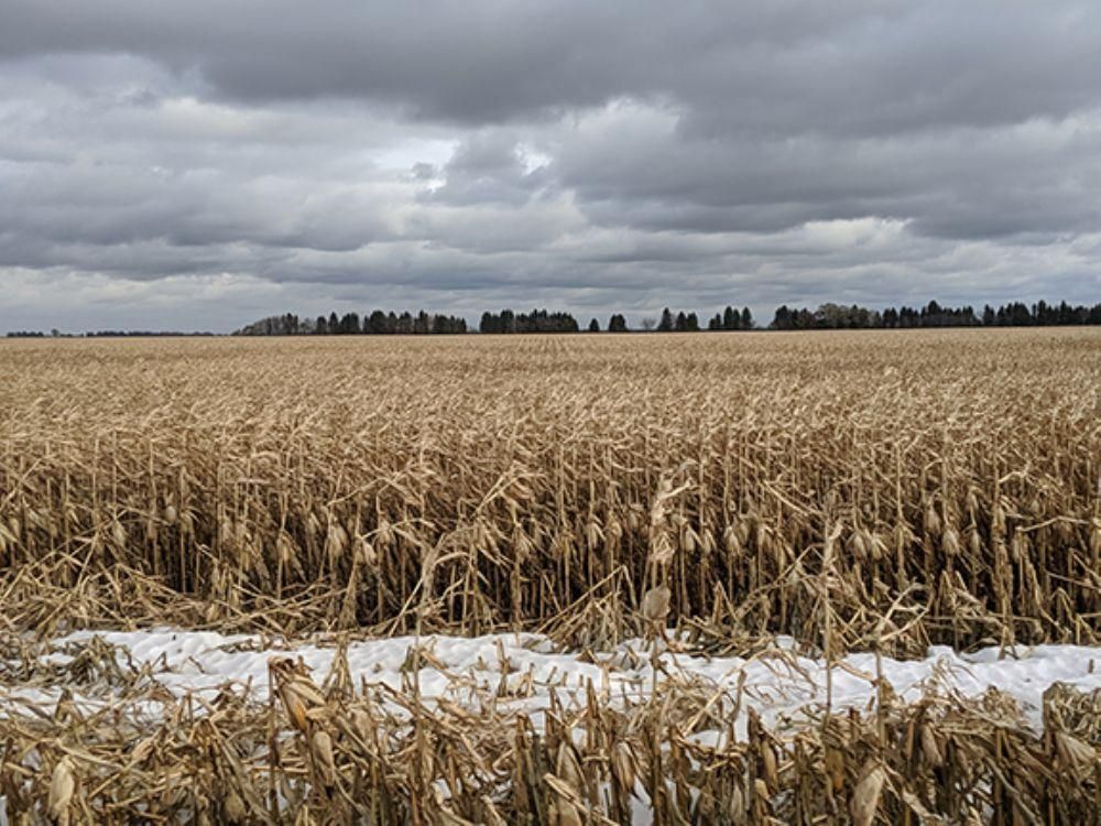 160 acres in Pembina County, North Dakota