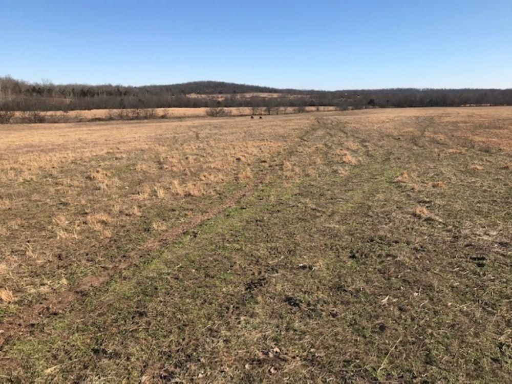539 acres in Doniphan, MO, 63942