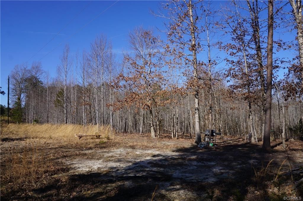2 acres in Amelia County, Virginia