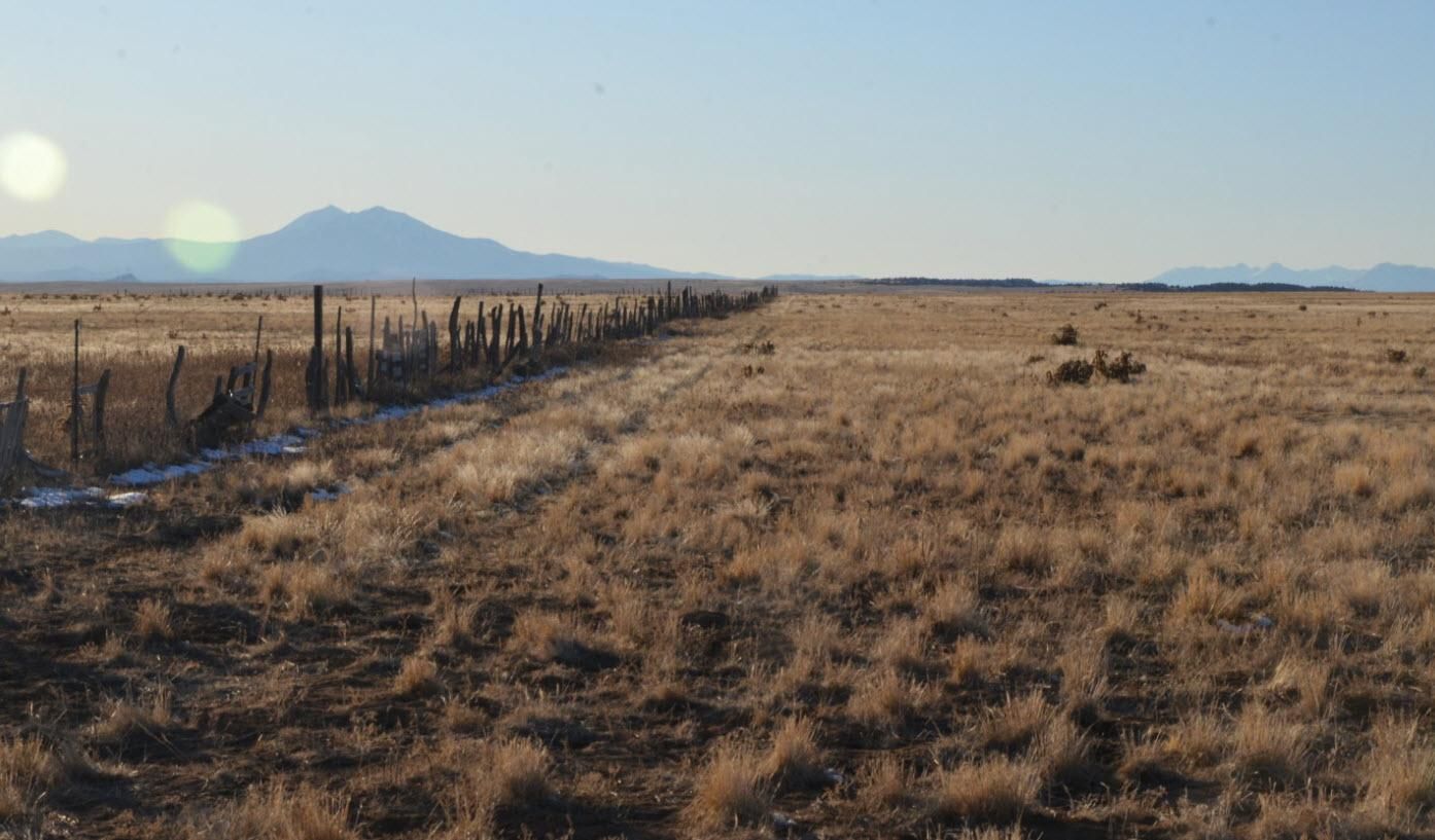 35.5 acres in Las Animas County, Colorado