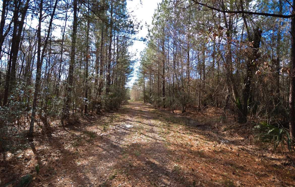 520 acres in Hardin County, Texas