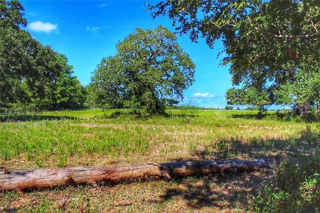 8 acres in Walker County, Texas