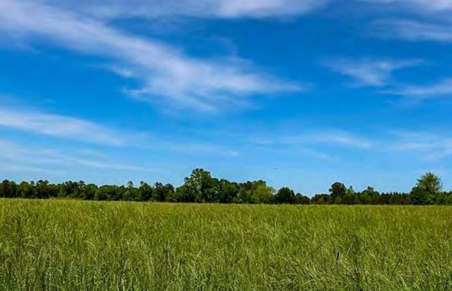 82 acres in Covington County, Mississippi