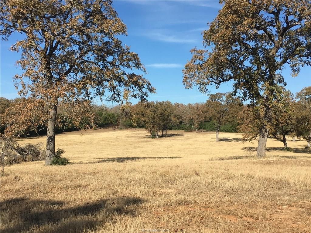 40 acres in Robertson County, Texas