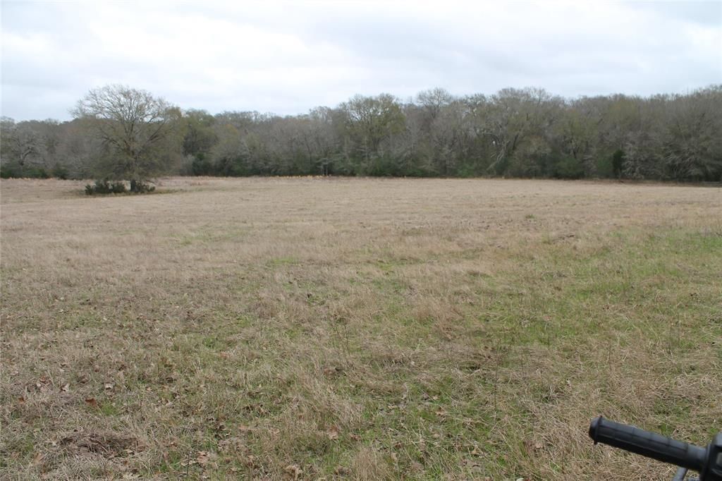 47 acres in Grimes County, Texas