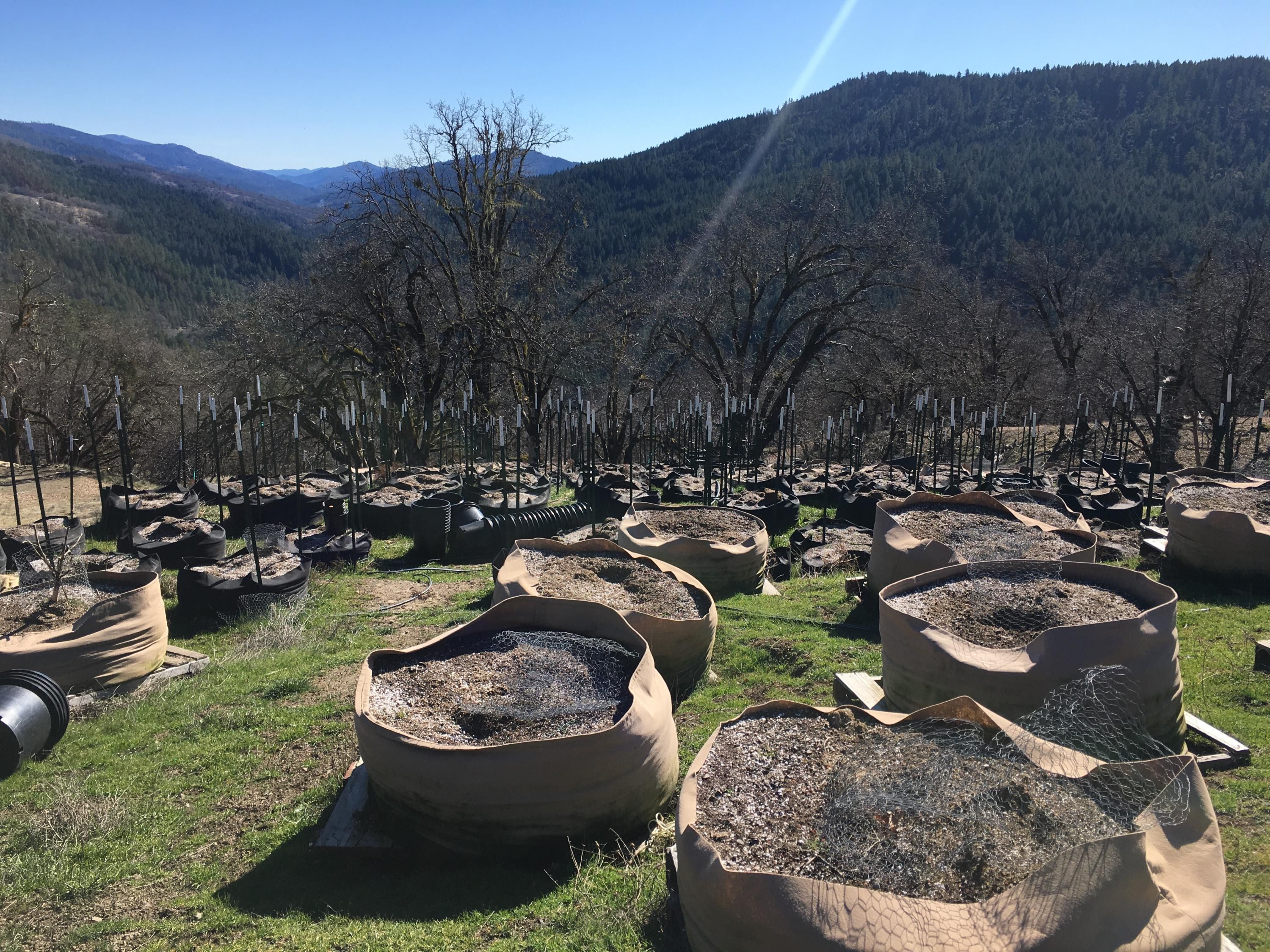 40 acres in Trinity County, California