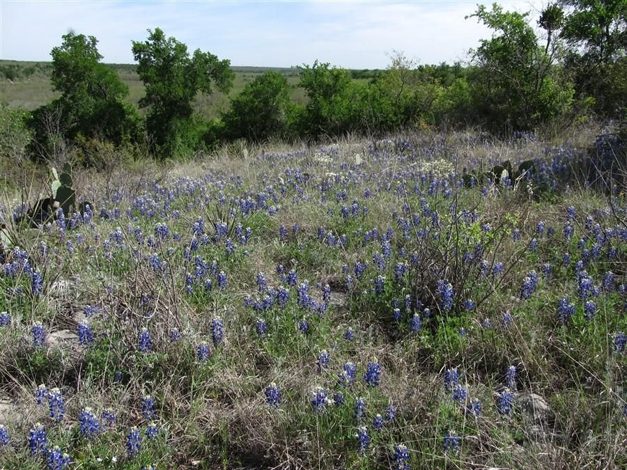 780 acres in Brown County, Texas