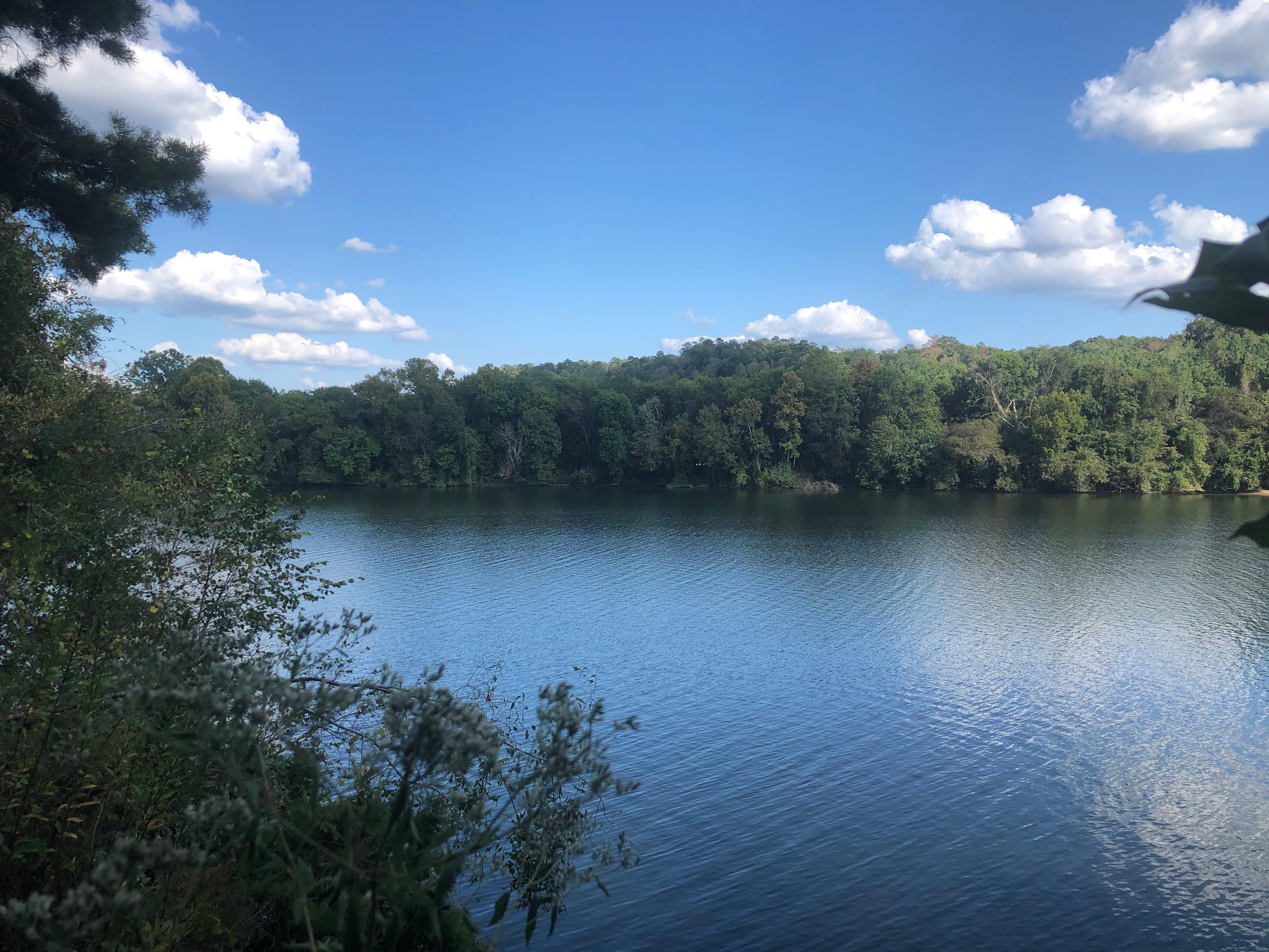 135 acres in Monroe County, Alabama