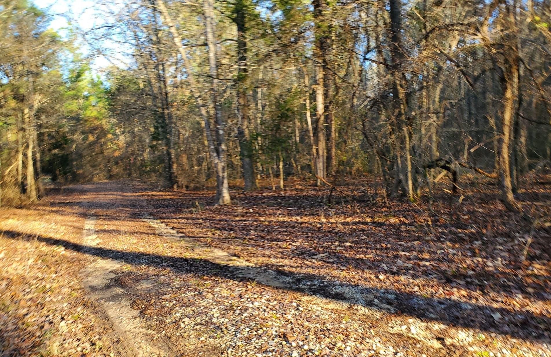 13 acres in Cherokee County, Texas