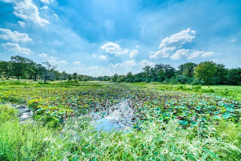 CR 482, Normangee, TX 77871 MLS 11939928