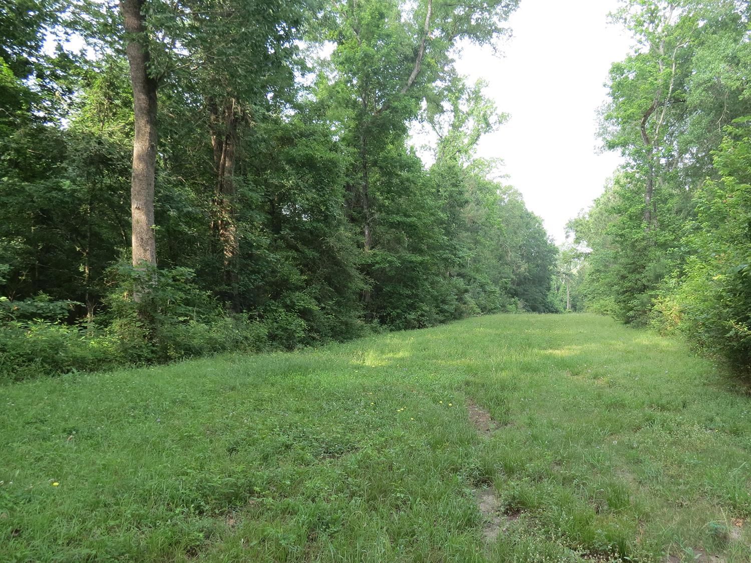 Westridge Drive, Huntsville, TX 77340