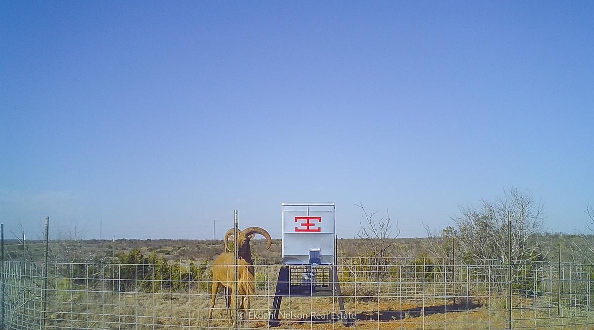 839 acres in Fisher County, Texas