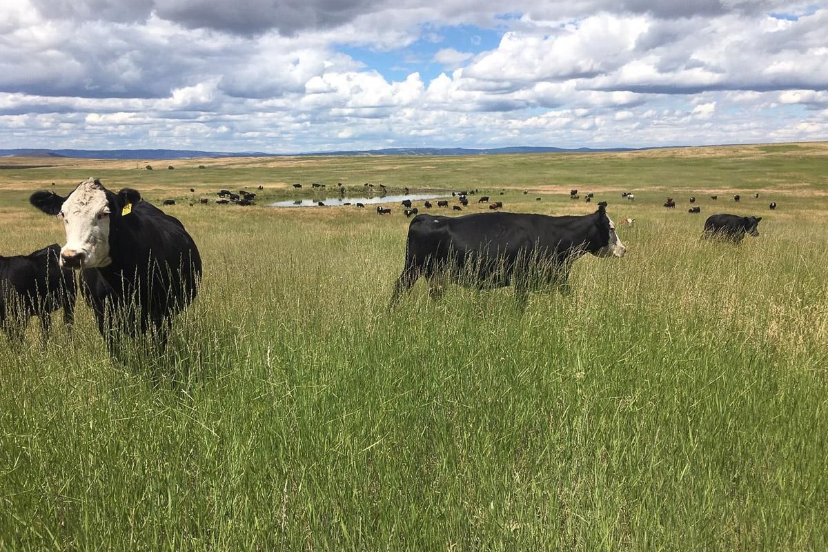 963 acres in Wallowa County, Oregon