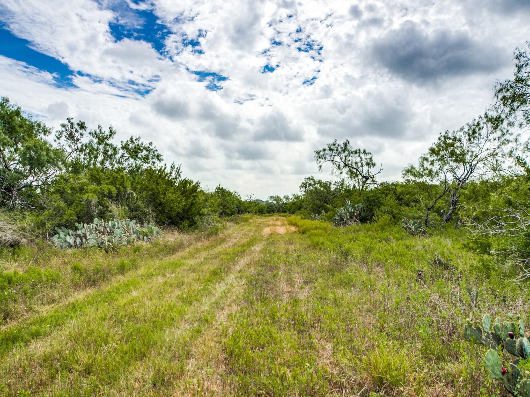 109 acres in Bexar County, Texas
