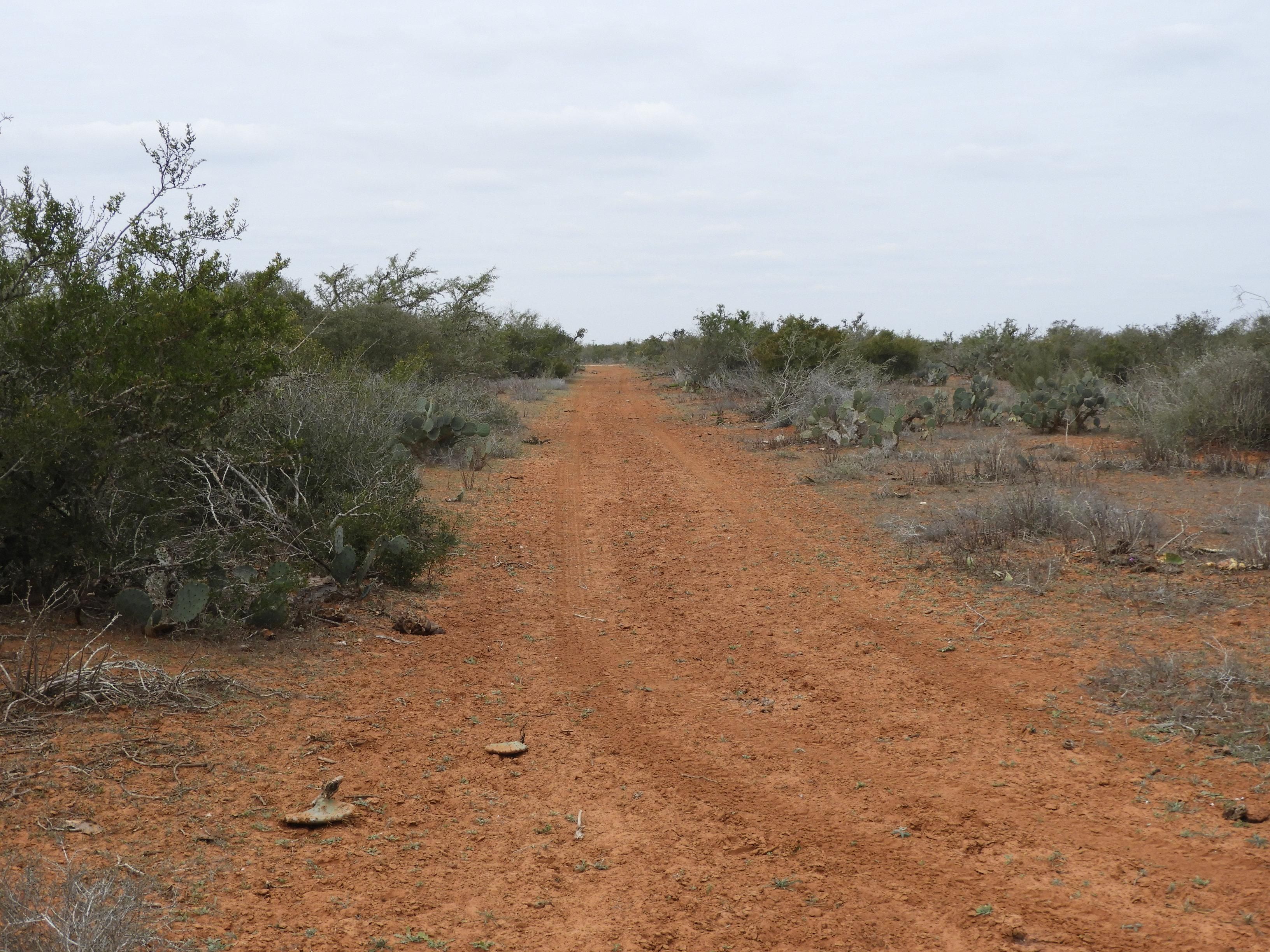 217 acres in Jim Hogg County, Texas