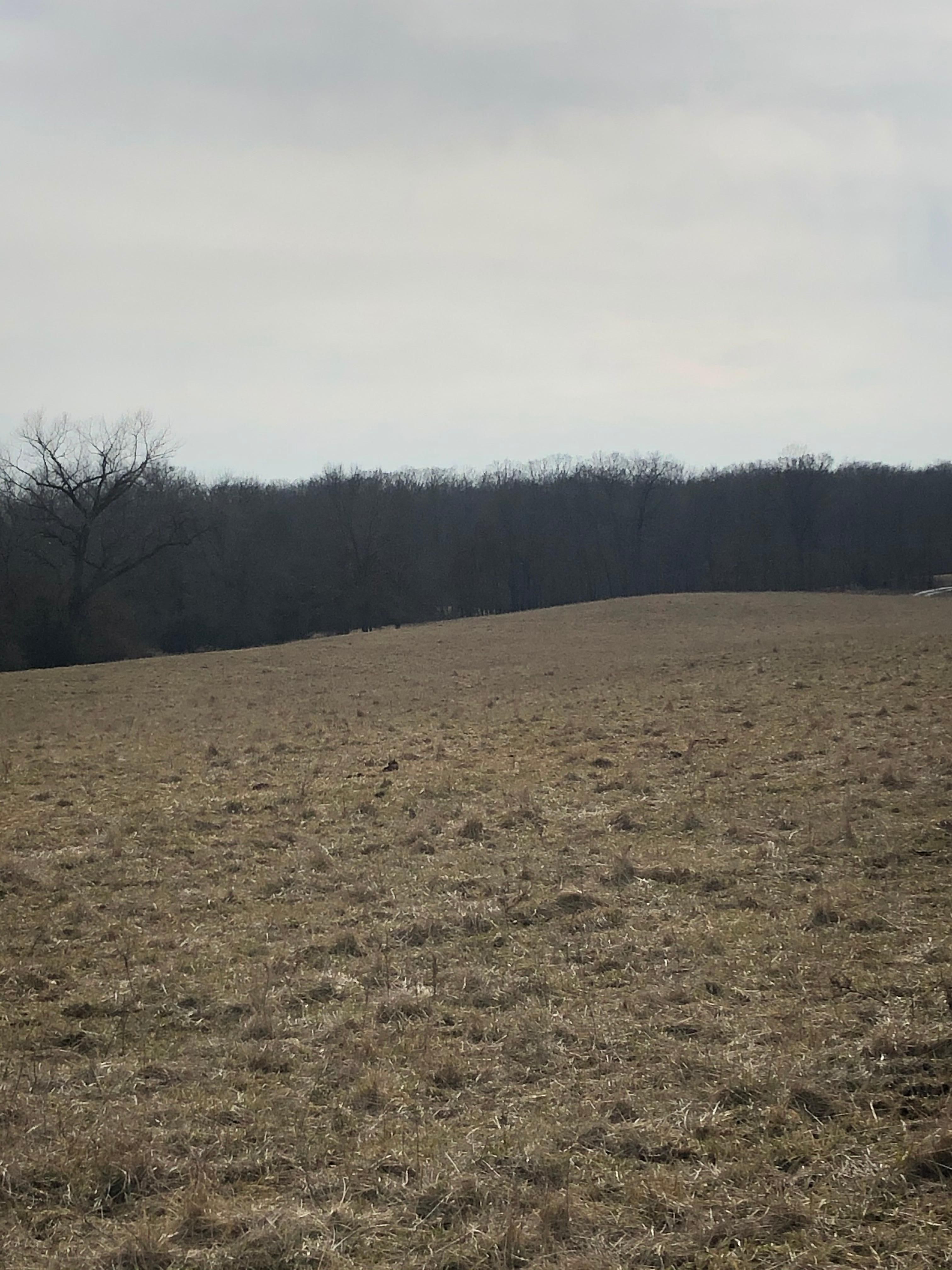 150 acres in Boone County, Missouri