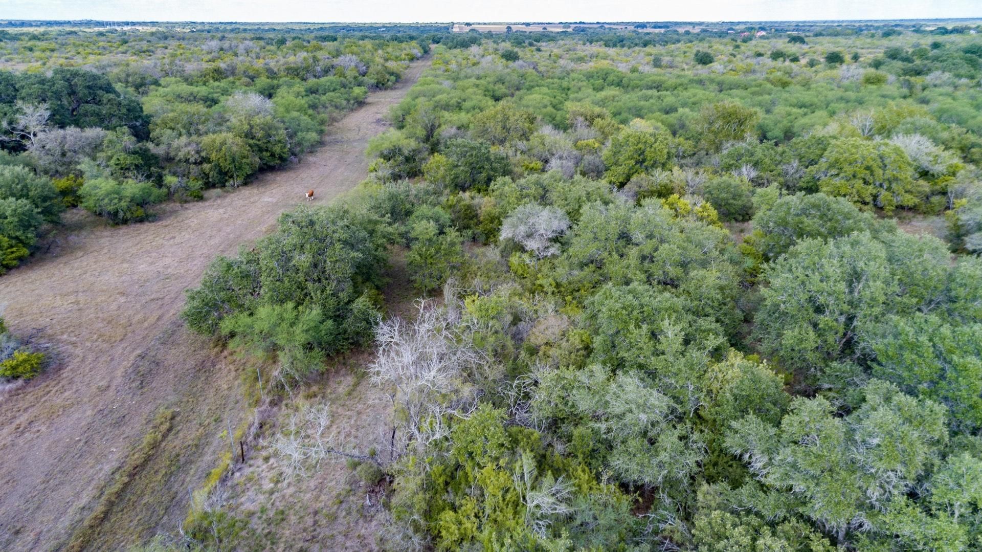 42 acres in Goliad County, Texas