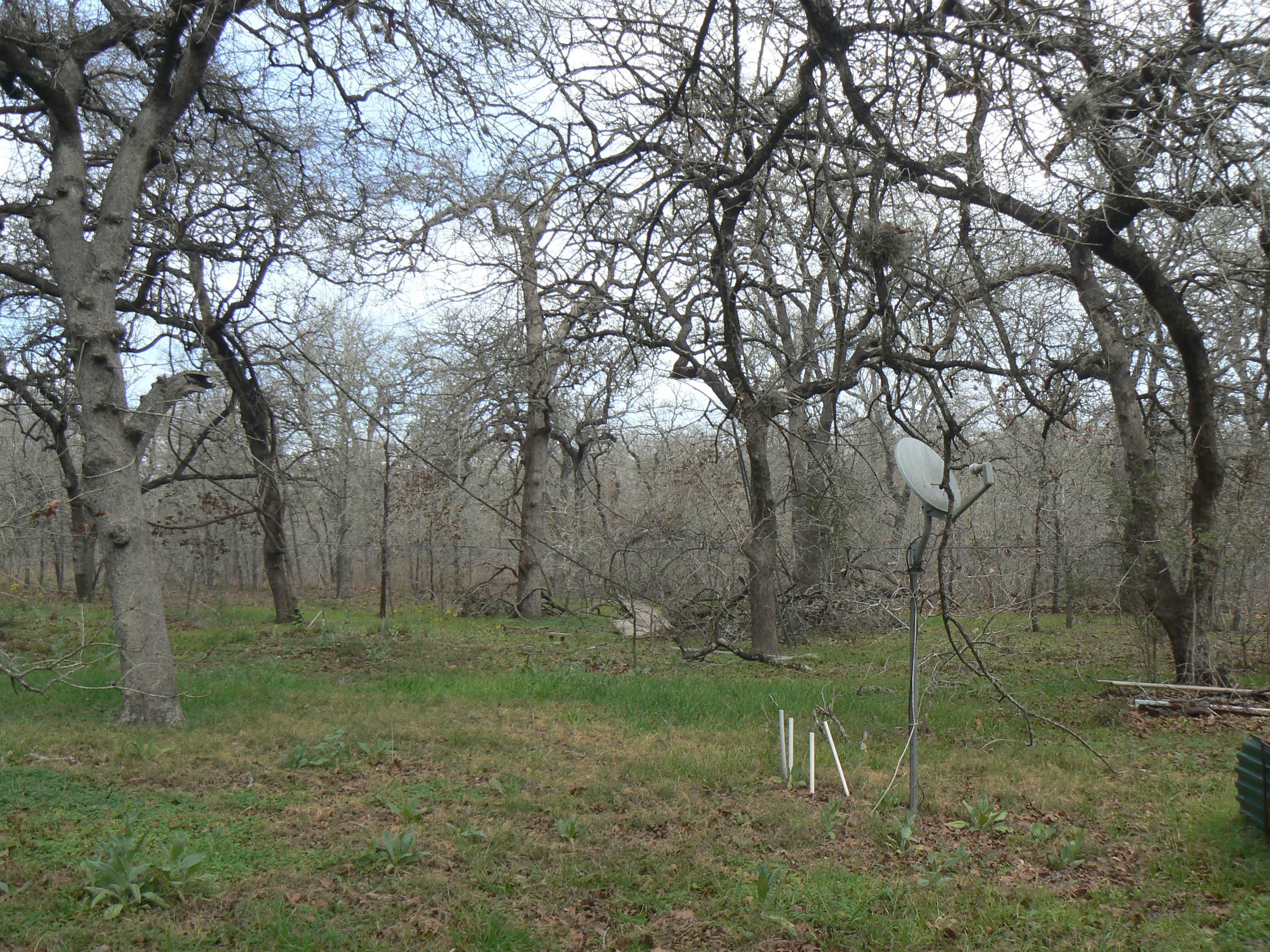 10.11 acres in Wilson County, Texas