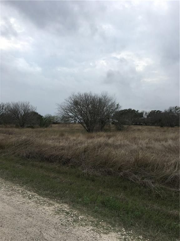 2 acres in San Patricio County, Texas