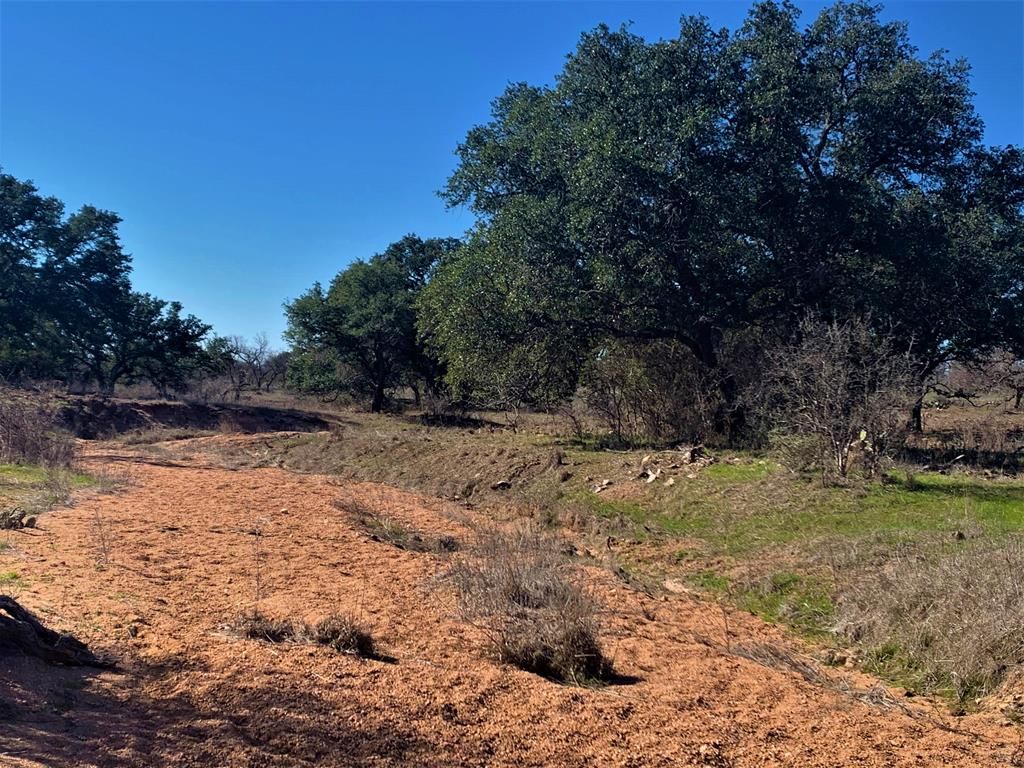 51.43 acres in Mason County, Texas