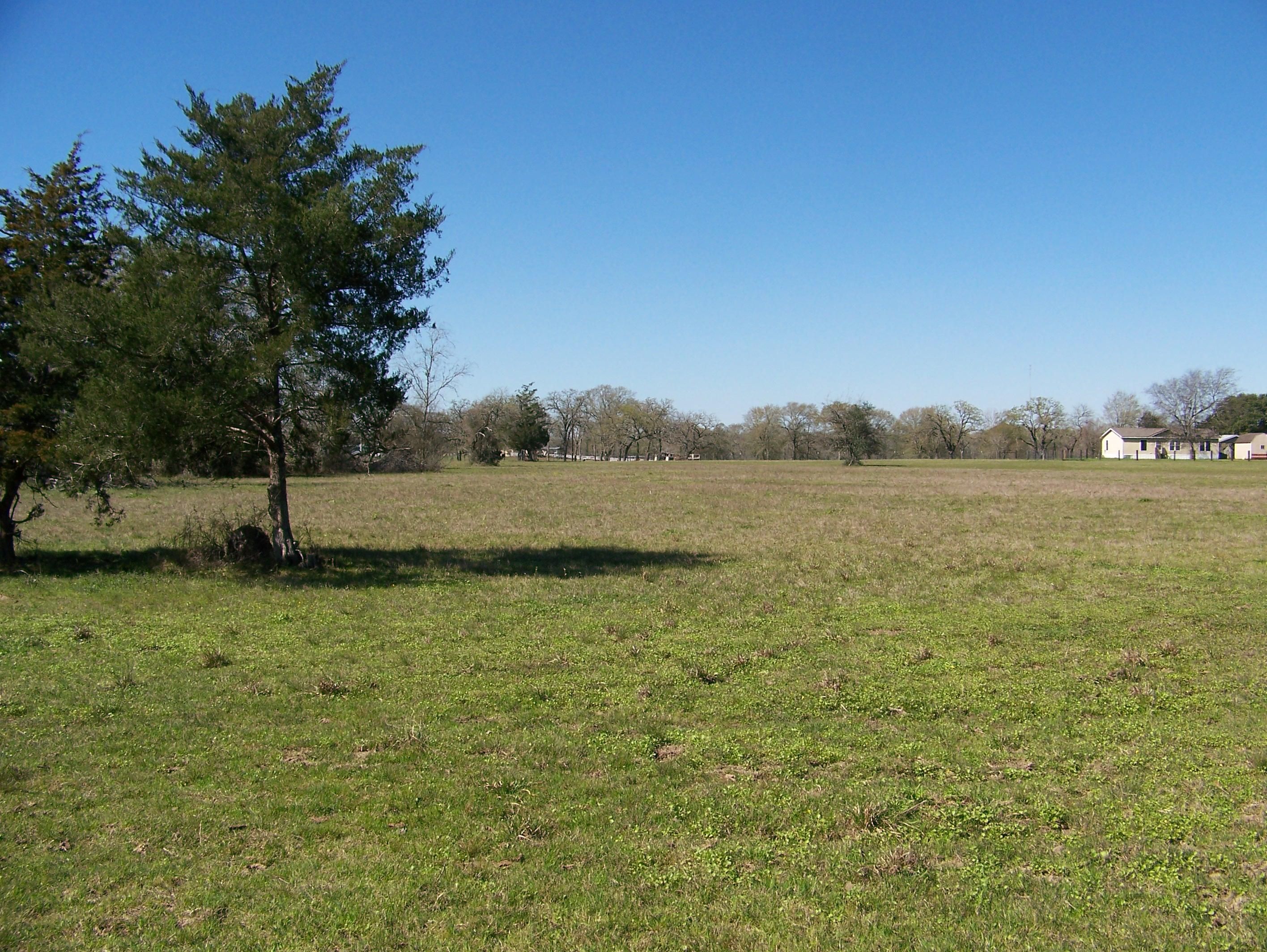 11.82 acres in Waller County, Texas