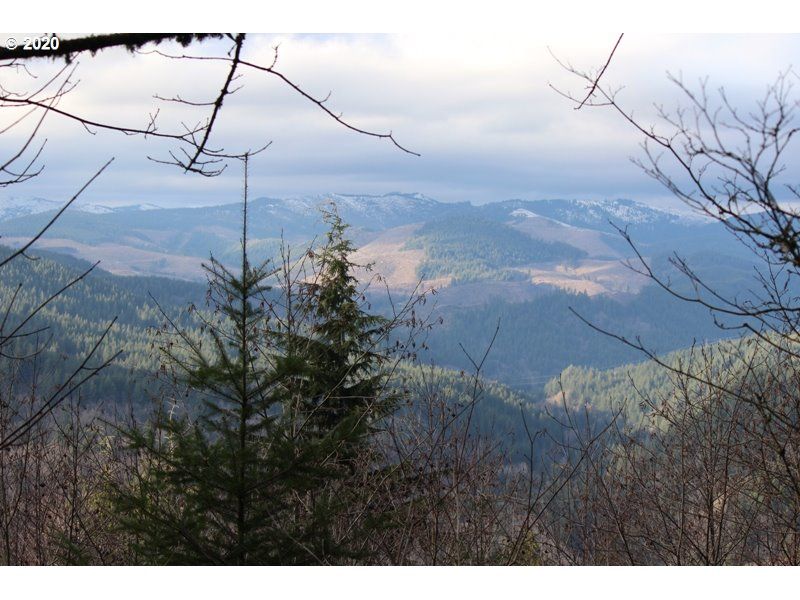 10.02 acres in Skamania County, Washington