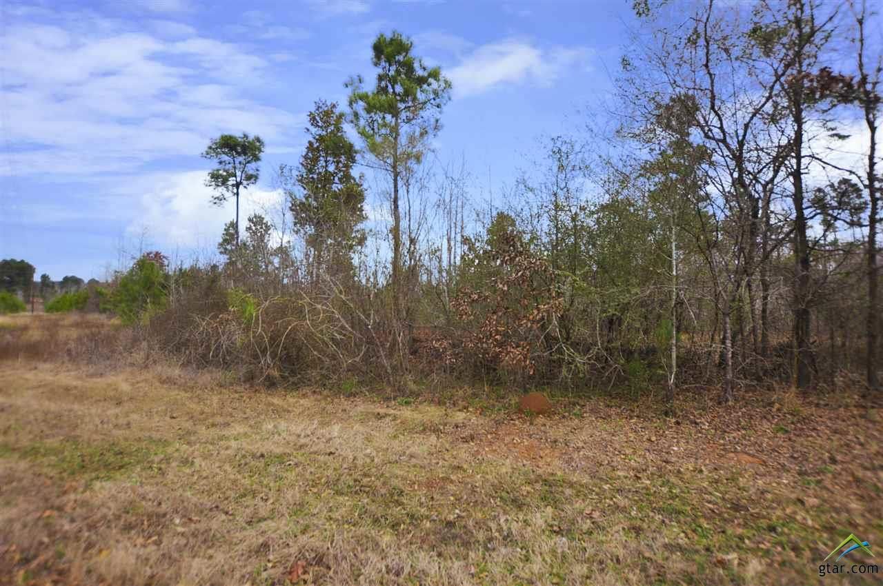 60 acres in Rusk County, Texas