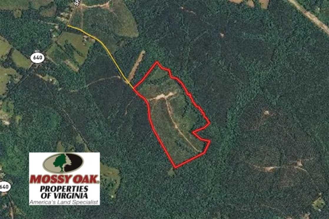 81 acres in Fluvanna County, Virginia