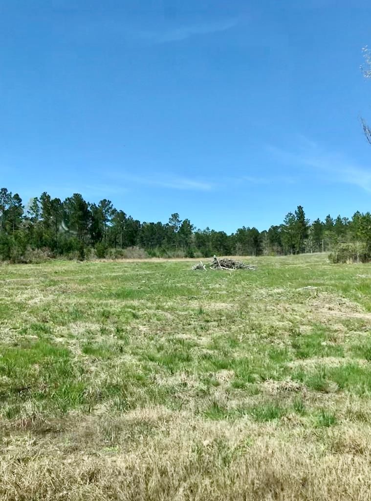 10 acres in Trinity County, Texas