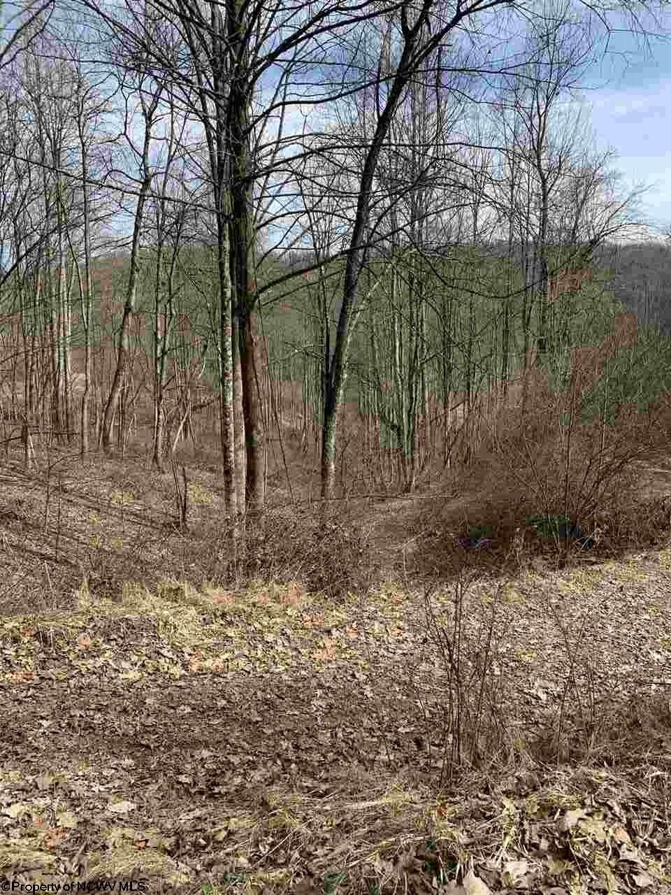 28.13 acres in Taylor County, West Virginia