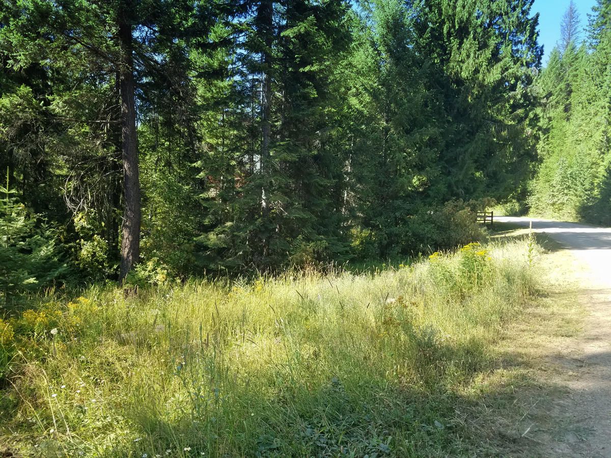 1.6 acres in Boundary County, Idaho