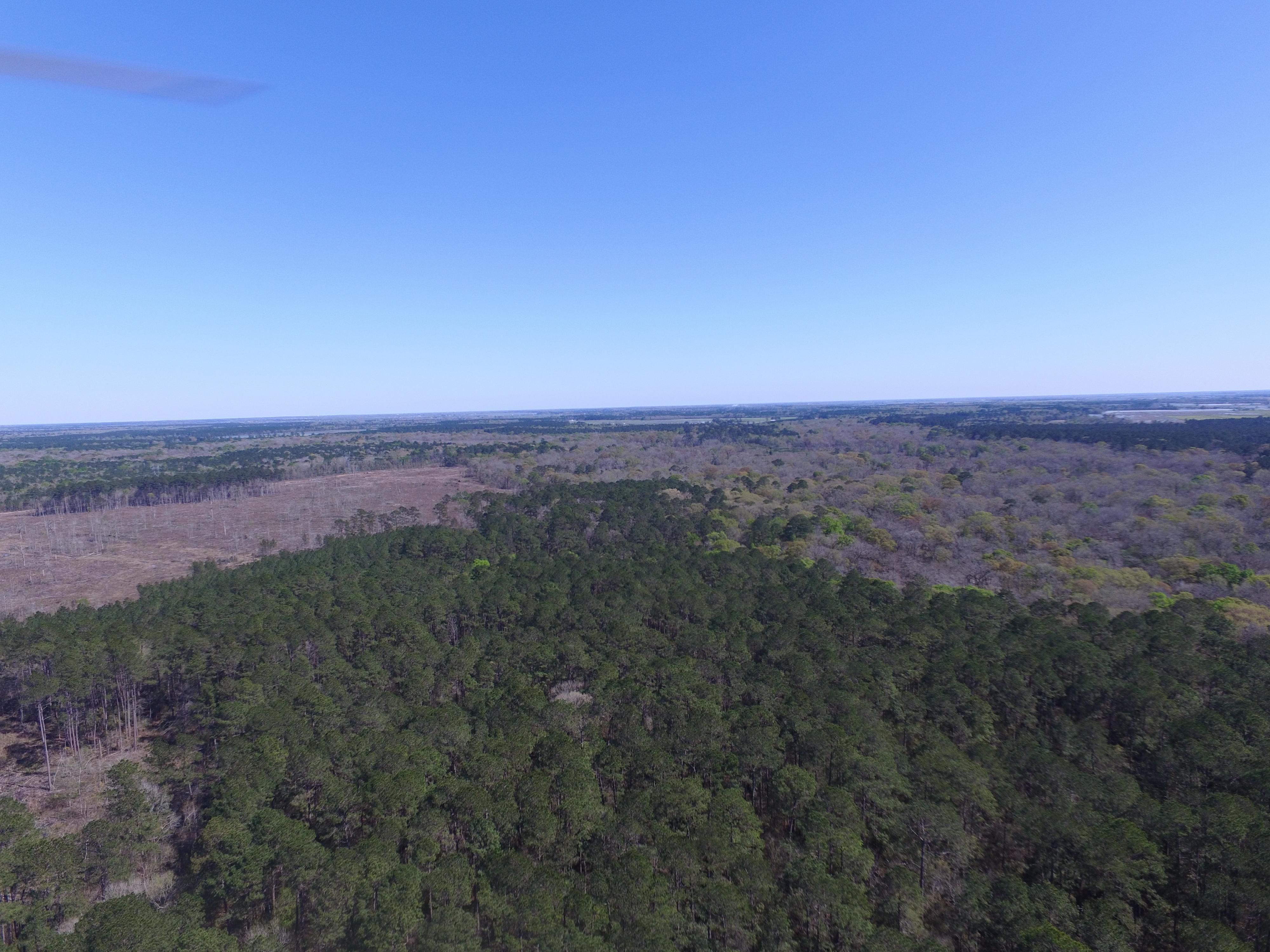 1,051 acres in Acadia Parish, Louisiana