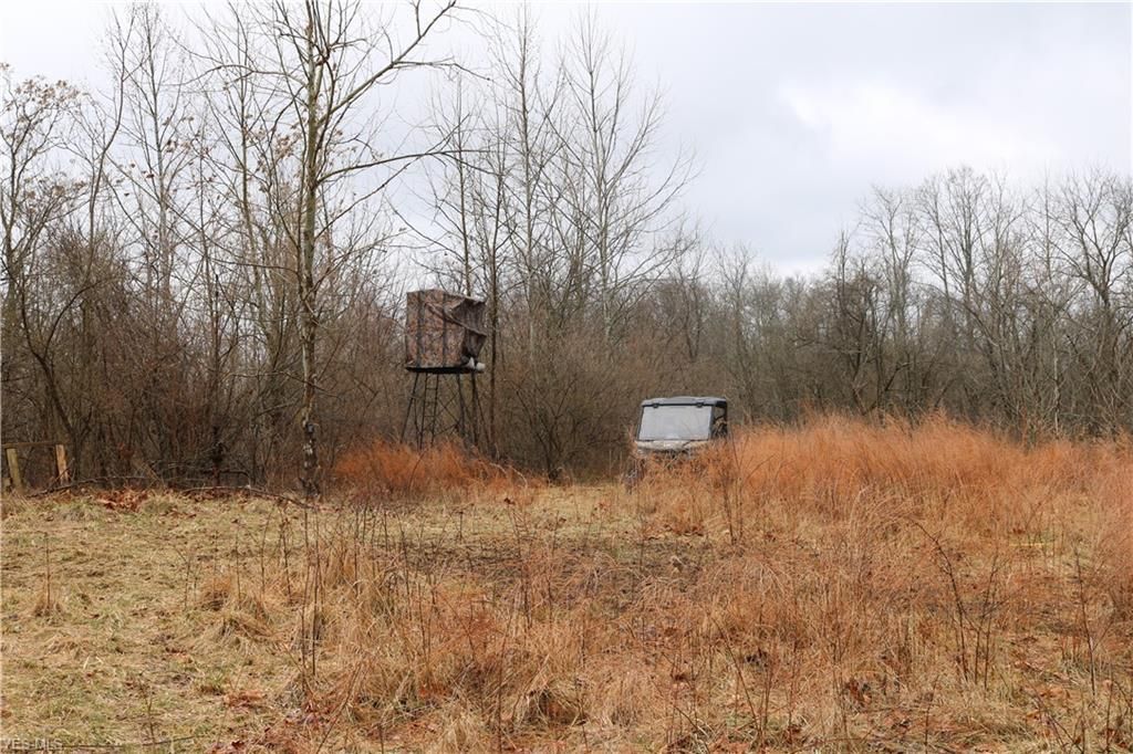 40 acres in County, Ohio