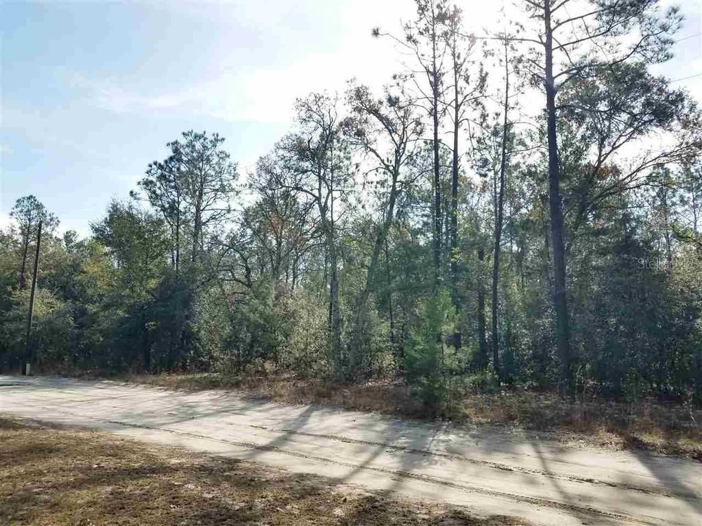 4.25 acres in Madison County, Florida